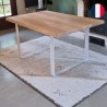 Pied de table fer plat